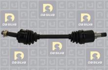 DA SILVA S.A.S. 96136AT