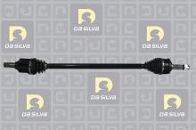 DA SILVA S.A.S. 96137AT