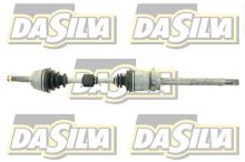 DA SILVA S.A.S. 96145T