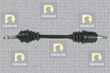 DA SILVA S.A.S. 96169T