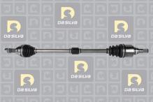DA SILVA S.A.S. 96242T