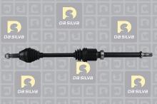 DA SILVA S.A.S. 96244T