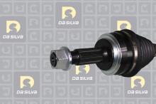 DA SILVA S.A.S. 96249T
