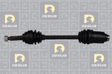 DA SILVA S.A.S. 98191T