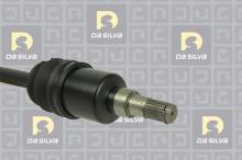 DA SILVA S.A.S. 98249T