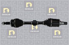 DA SILVA S.A.S. 99244T