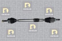 DA SILVA S.A.S. 99519T