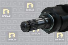 DA SILVA S.A.S. 99529T