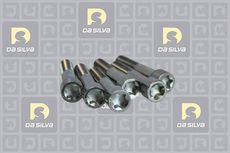 DA SILVA S.A.S. ACF245