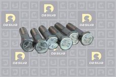 DA SILVA S.A.S. ACF262