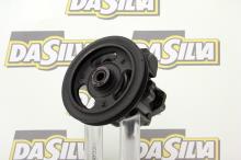 DA SILVA S.A.S. DP2009