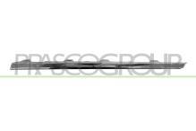 PRASCO VG0541273