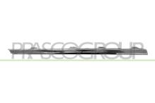 PRASCO VG0541274