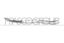 PRASCO VG7701243