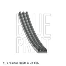 Blue Print AD03S817
