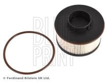 Blue Print ADBP230010