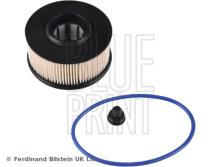 Blue Print ADBP230022