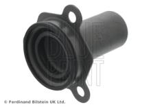 Blue Print ADBP330001