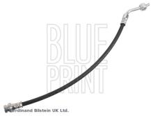 Blue Print ADBP530009