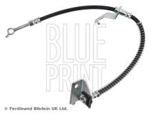 Blue Print ADBP530016
