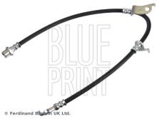 Blue Print ADBP530023