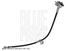 Blue Print ADBP530028