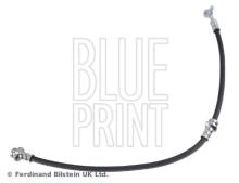 Blue Print ADBP530033