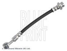 Blue Print ADBP530035