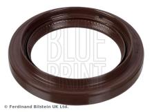 Blue Print ADBP610012