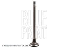 Blue Print ADBP610034