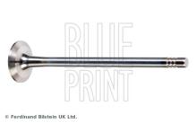 Blue Print ADBP610040