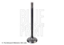 Blue Print ADBP610041