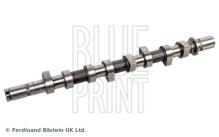 Blue Print ADBP610042