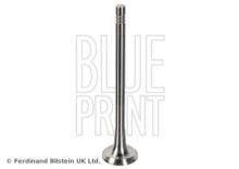 Blue Print ADBP610134