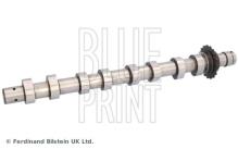 Blue Print ADBP610216