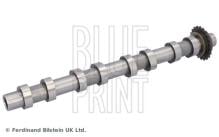 Blue Print ADBP610409