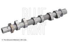 Blue Print ADBP610441