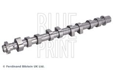 Blue Print ADBP610462