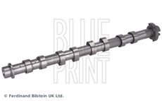 Blue Print ADBP610475
