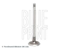 Blue Print ADBP610481