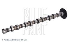 Blue Print ADBP610486