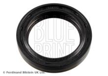 Blue Print ADBP640013