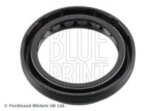 Blue Print ADBP640021