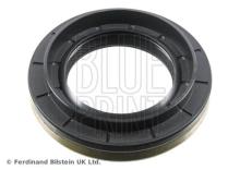 Blue Print ADBP640023