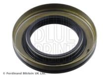 Blue Print ADBP640023