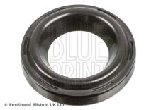 Blue Print ADBP670006