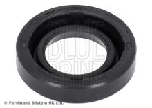 Blue Print ADBP670014