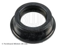 Blue Print ADBP670018