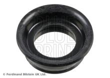 Blue Print ADBP670018