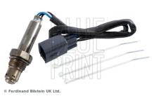Blue Print ADBP700024